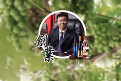 桃色无码视频网葡萄酒总经理毕晓雪接受《文汇报》专访，畅谈“一带一路”建设经验